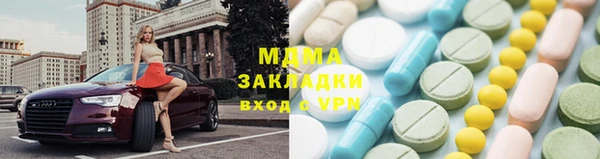 прущие грибы Белокуриха