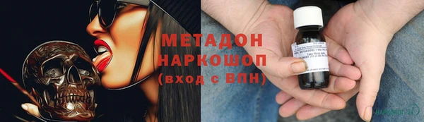 прущие грибы Белокуриха
