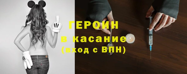 прущие грибы Белокуриха