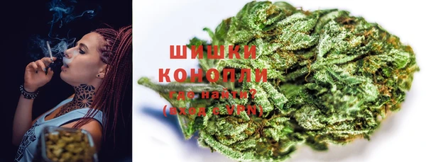 прущие грибы Белокуриха